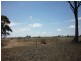 Lot 114 & Glenleigh Road, Eumungerie NSW 2831