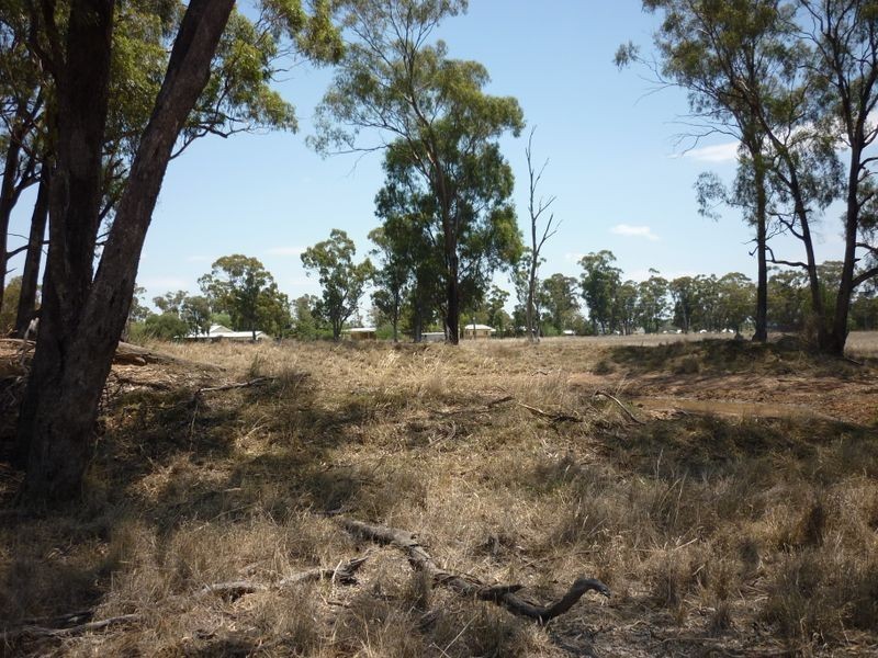 Lot 114 & Glenleigh Road, Eumungerie NSW 2831
