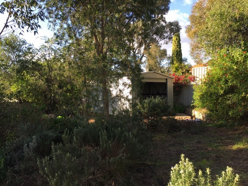 29 Bladon Way, Swan View WA 6056