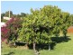 4 Winston Cres, Viveash WA 6056