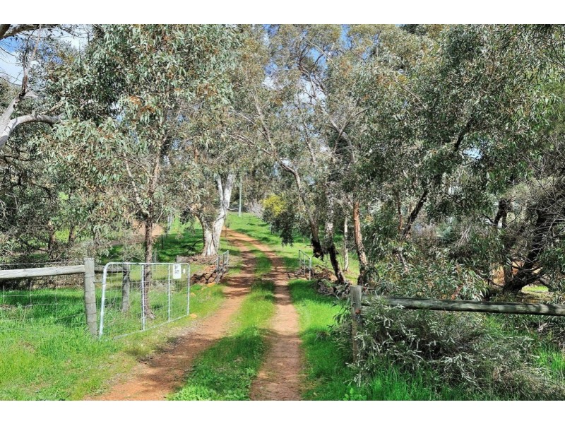 669 Reen Road, Gidgegannup WA 6083