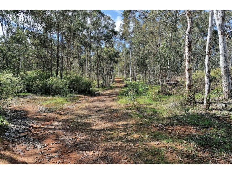 669 Reen Road, Gidgegannup WA 6083