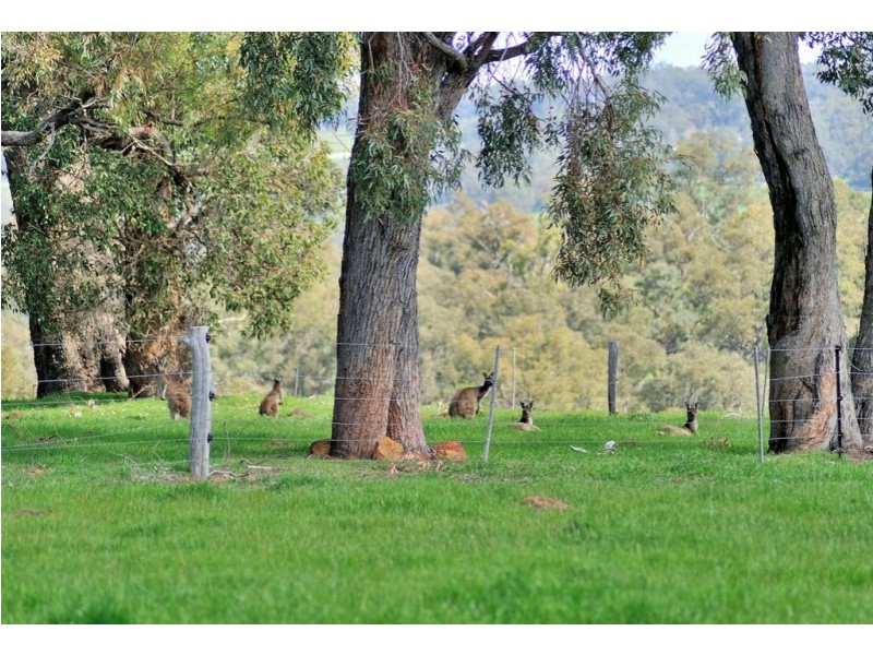 669 Reen Road, Gidgegannup WA 6083