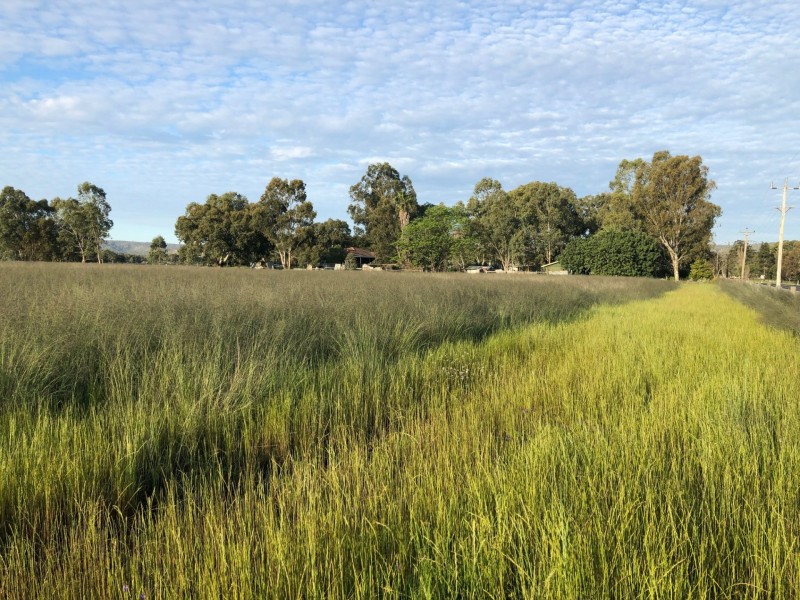 147B Oakover Road, Herne Hill WA 6056