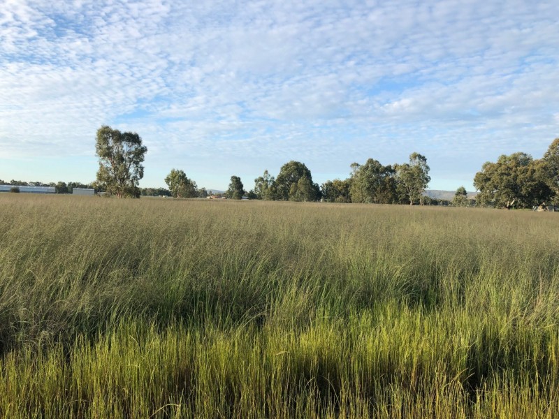 147B Oakover Road, Herne Hill WA 6056