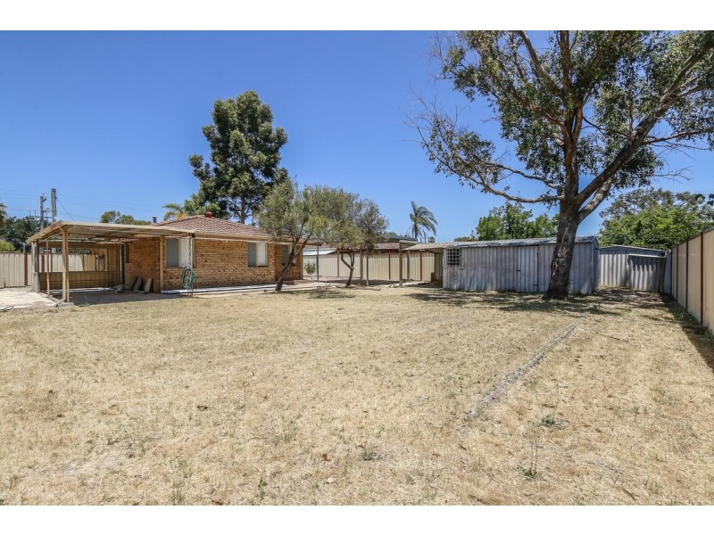 99 Ewart Street, Midland WA 6056