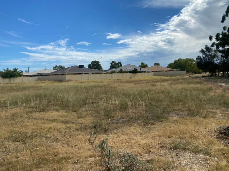 29 Ferguson Street, Middle Swan WA 6056