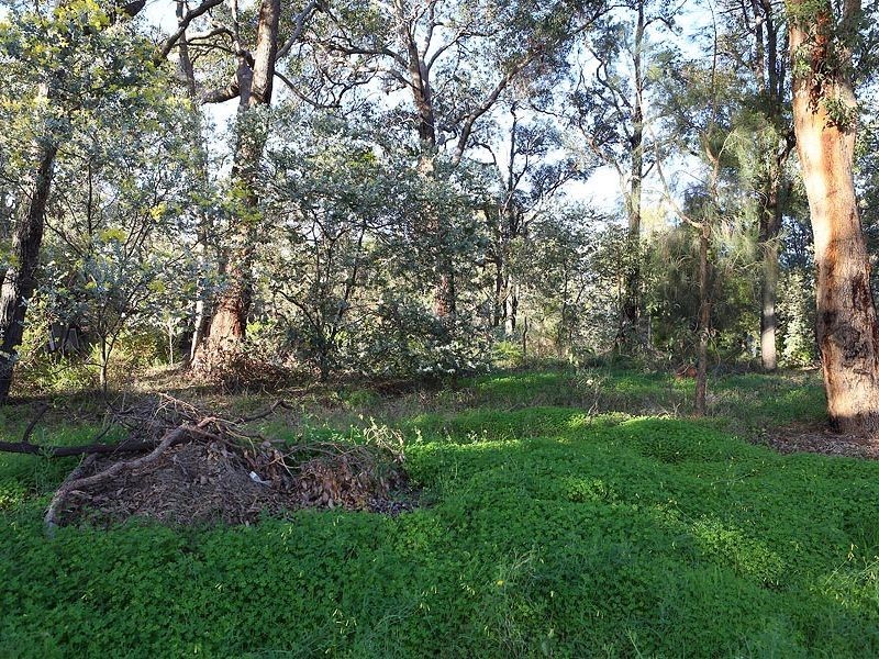 6 Carstairs Road, Darlington WA 6070