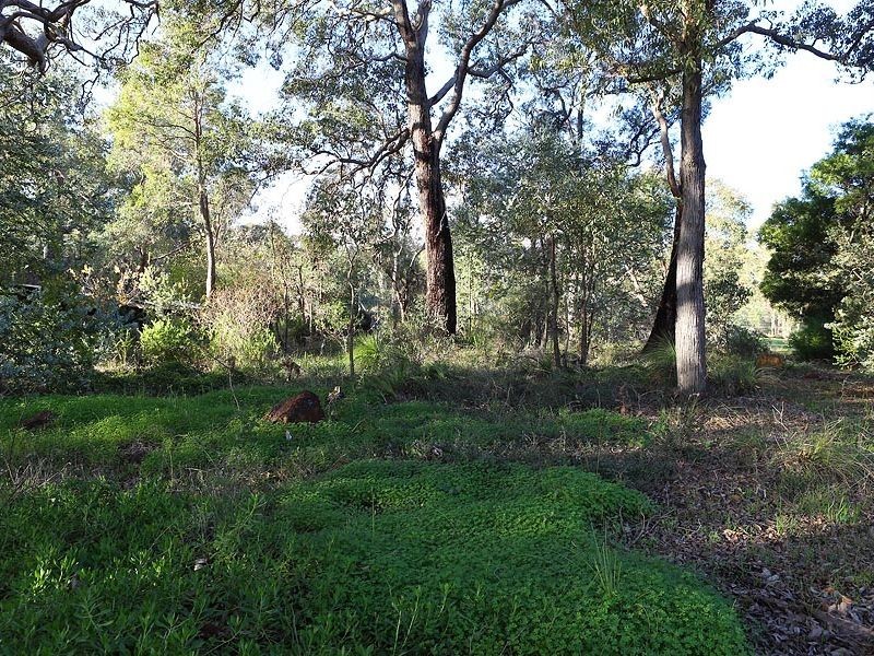 6 Carstairs Road, Darlington WA 6070