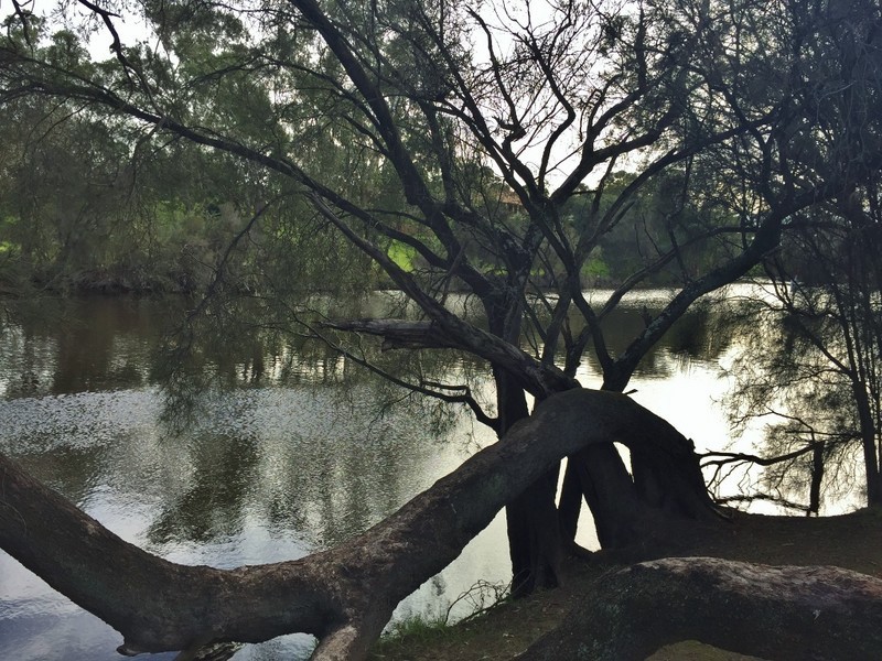 23 Bernley Drive, Viveash WA 6056