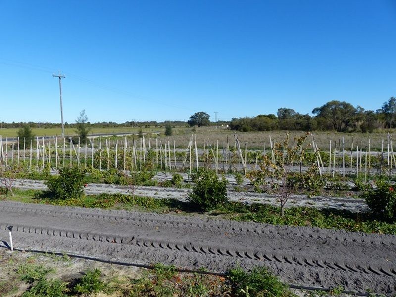 1769 Neaves Road, Bullsbrook WA 6084