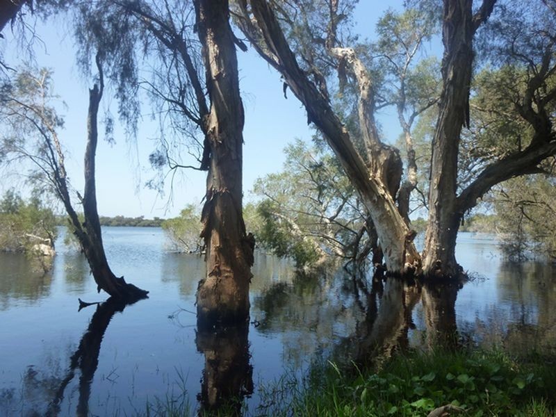 522/ Bambun Rd, Gingin WA 6503