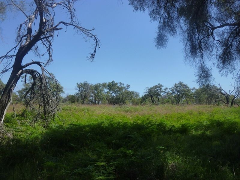 522/ Bambun Rd, Gingin WA 6503