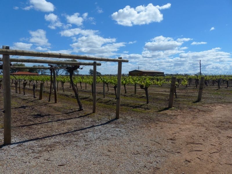 899 Great Northern Highway, Herne Hill WA 6056