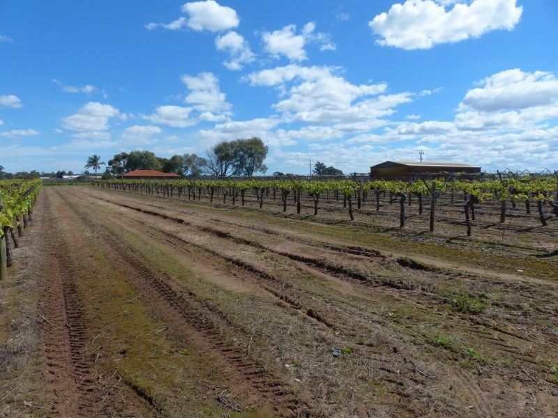 899 Great Northern Highway, Herne Hill WA 6056