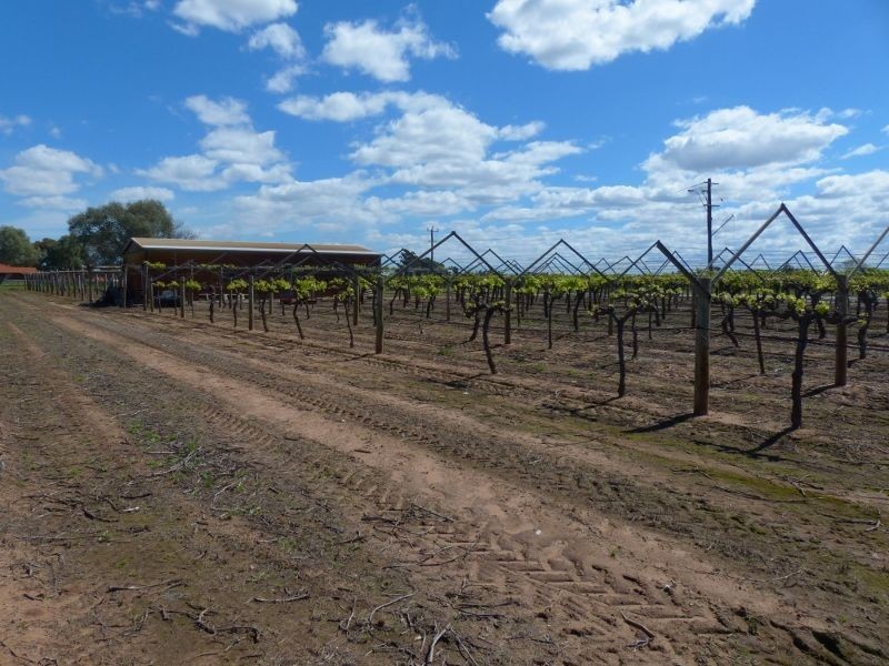 899 Great Northern Highway, Herne Hill WA 6056