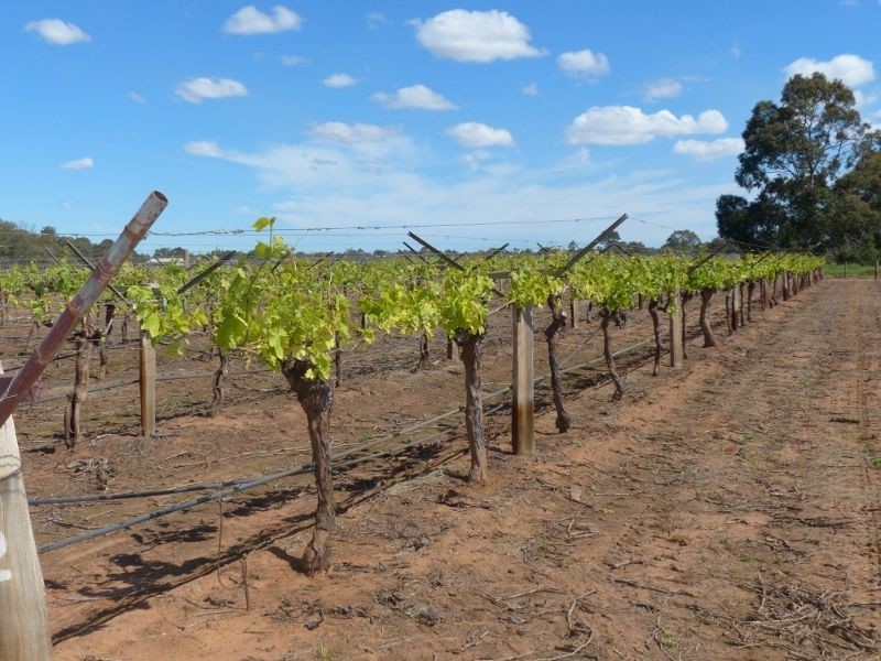 899 Great Northern Highway, Herne Hill WA 6056