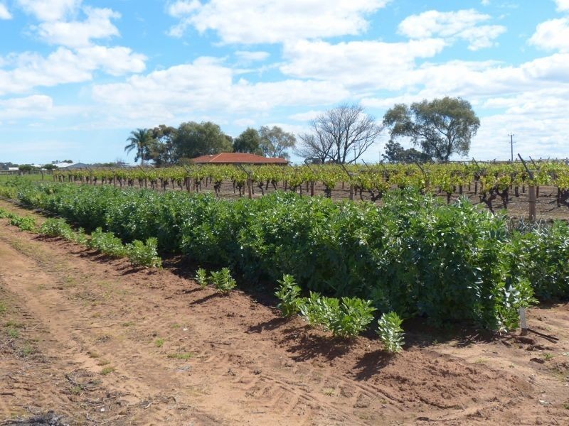 899 Great Northern Highway, Herne Hill WA 6056