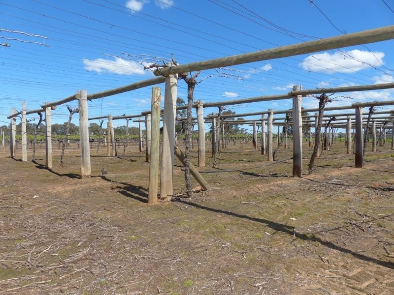 899 Great Northern Highway, Herne Hill WA 6056