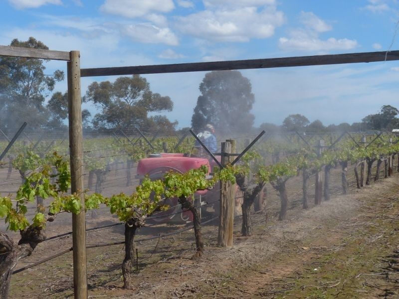 899 Great Northern Highway, Herne Hill WA 6056