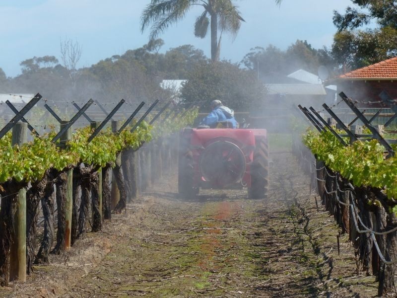 899 Great Northern Highway, Herne Hill WA 6056