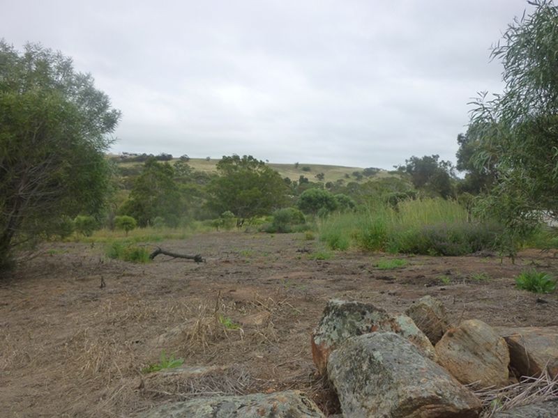 57 Toodyay Street, Toodyay WA 6566