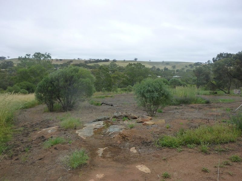 57 Toodyay Street, Toodyay WA 6566