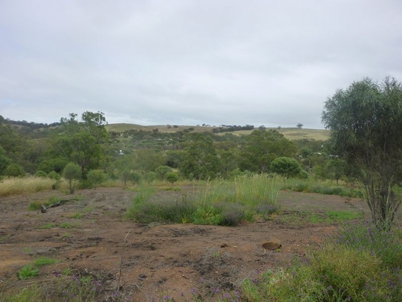 57 Toodyay Street, Toodyay WA 6566