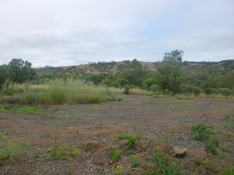 57 Toodyay Street, Toodyay WA 6566
