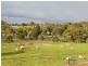 37 Auger Place, Bullsbrook WA 6084