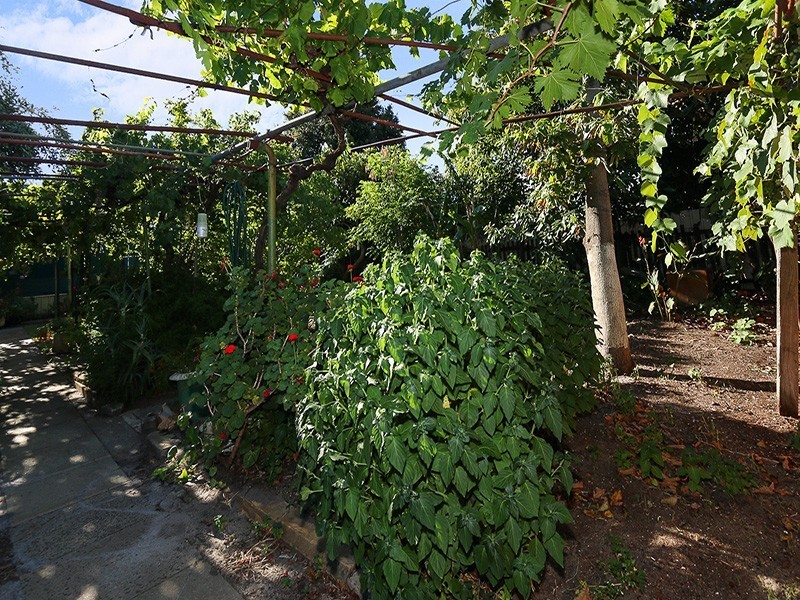 34 Iolanthe Street, Bassendean WA 6054