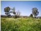70 Brook Road, Kenwick WA 6107