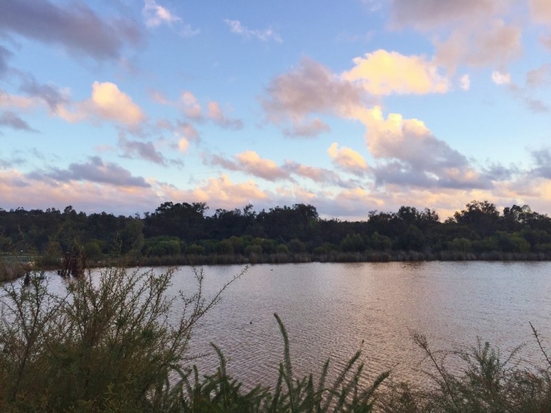 26 Wiltshire Avenue, Jane Brook WA 6056