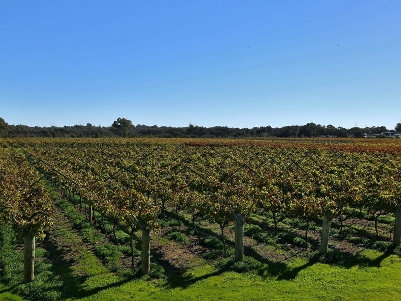 Lot 22 Gloxinia Glade, Dayton WA 6055