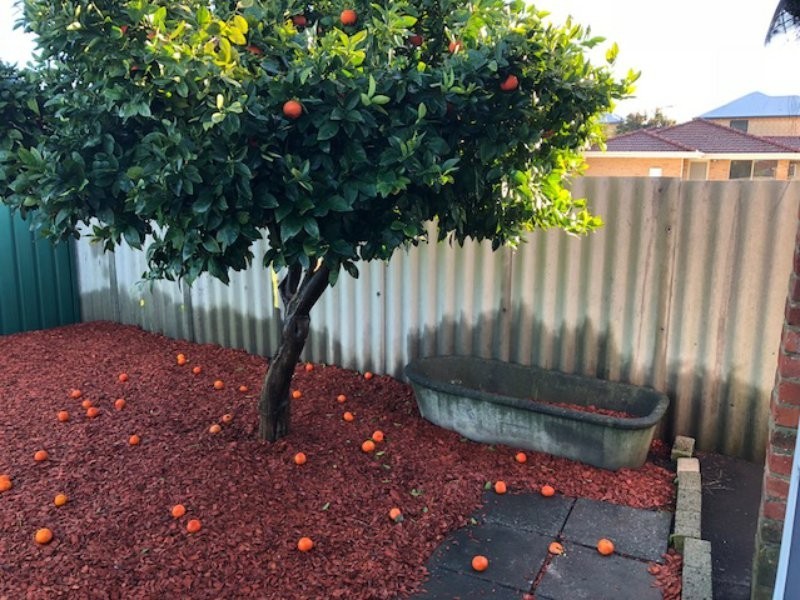 85 Great Northern Highway, Midland WA 6056