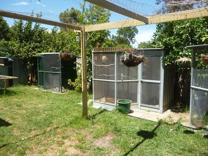 38 North Ave, Bullsbrook WA 6084