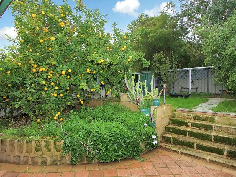 98 Talbot Road, Swan View WA 6056