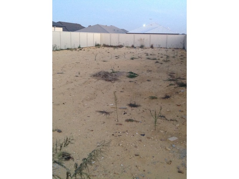 19 Flatbush Road, Hilbert WA 6112