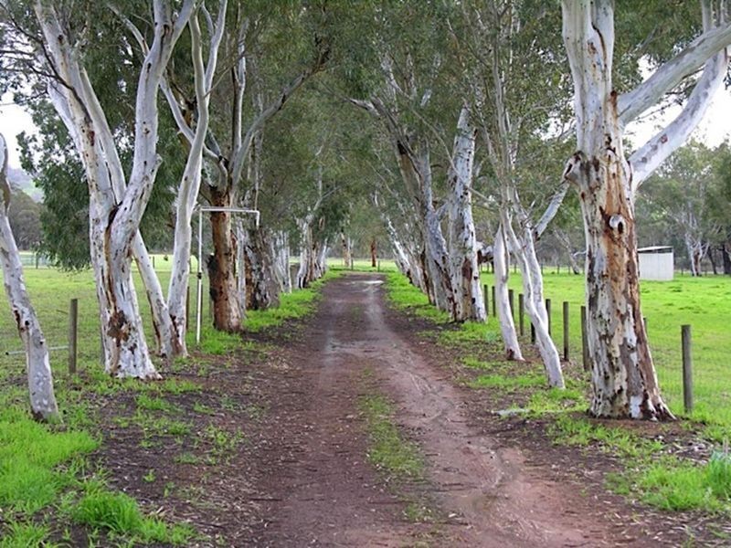 691 Chittering Valley Road, Lower Chittering WA 6084