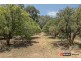 21 The Crescent, Helena Valley WA 6056