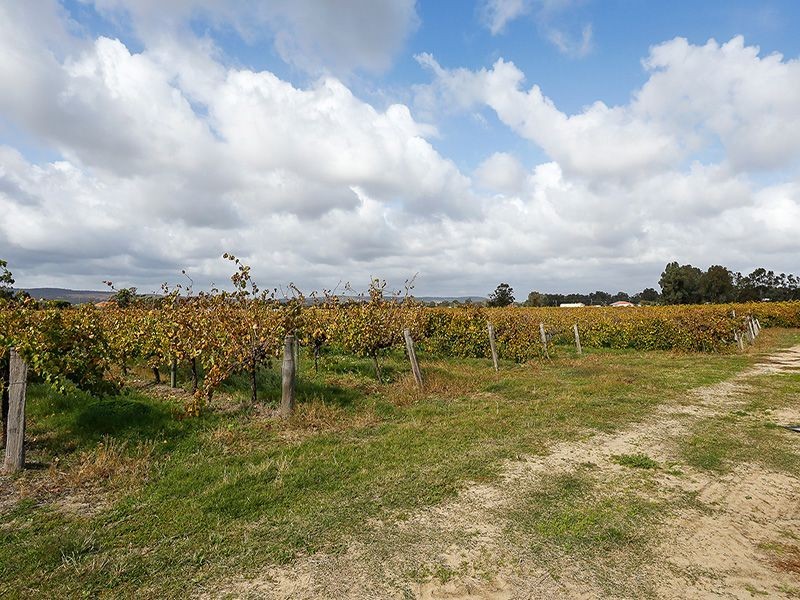 612 Great Northern Highway, Herne Hill WA 6056