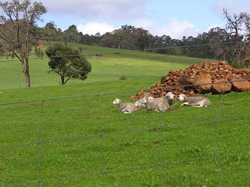 691 Chittering Valley Road, Lower Chittering WA 6084