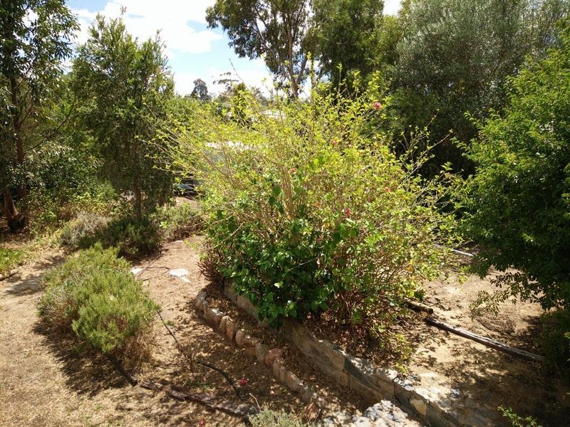 29 Bladon Way, Swan View WA 6056