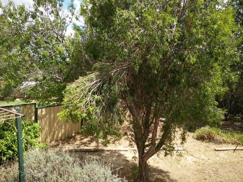 29 Bladon Way, Swan View WA 6056