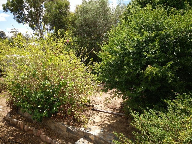 29 Bladon Way, Swan View WA 6056