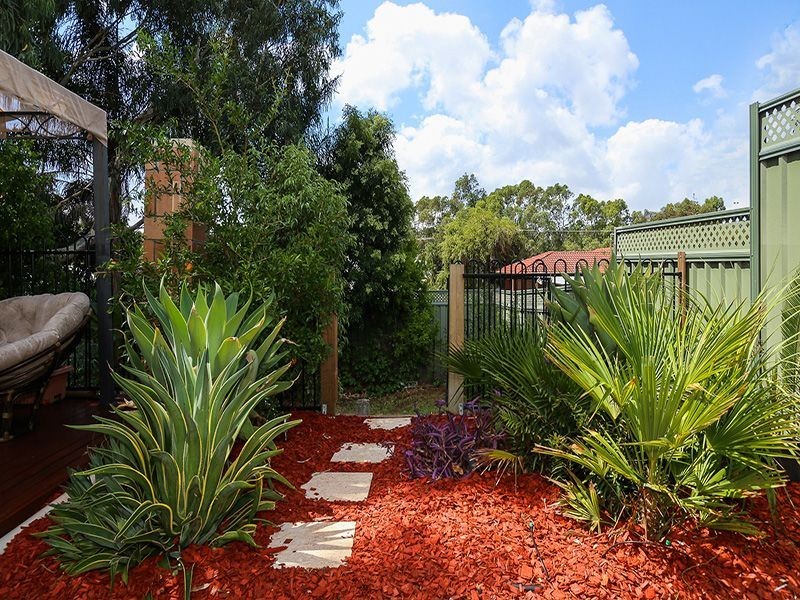 6 Redgum Avenue, Bellevue WA 6056