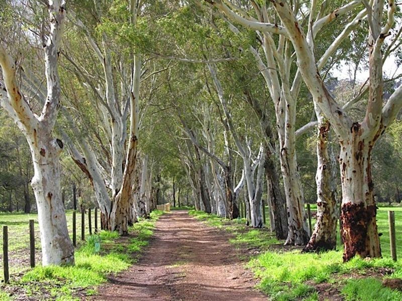 691 Chittering Valley Road, Lower Chittering WA 6084