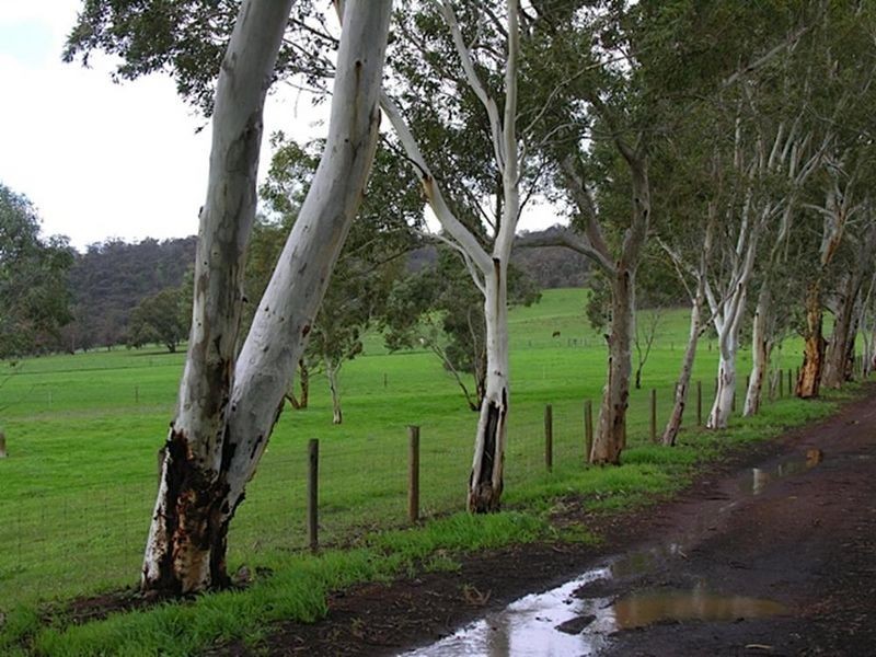 691 Chittering Valley Road, Lower Chittering WA 6084