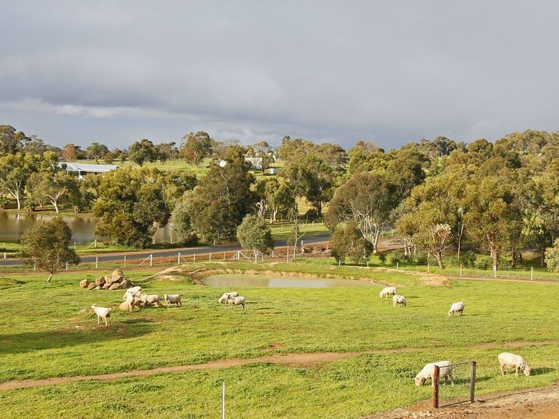 37 Auger Place, Bullsbrook WA 6084