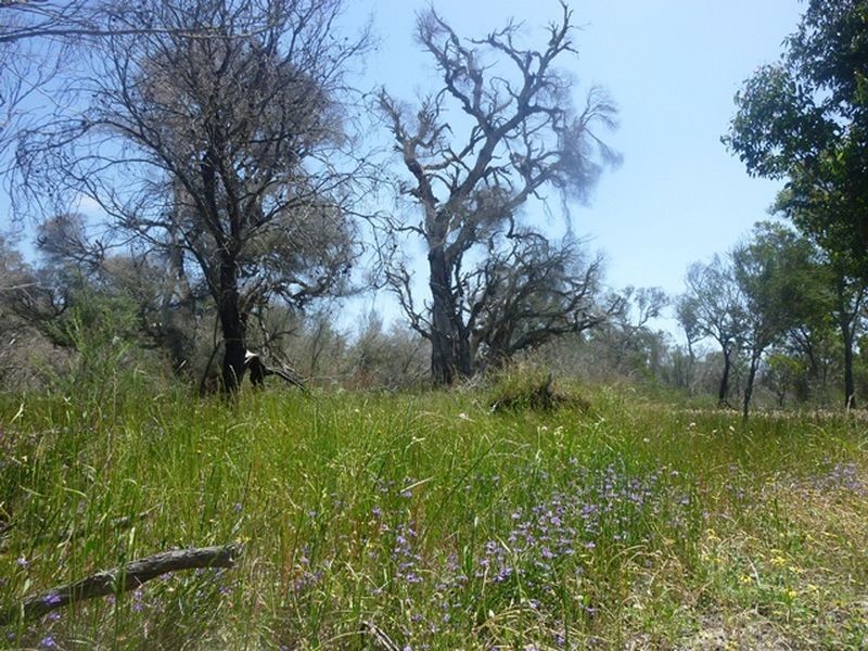 LOT 522 Bambun Road, Gingin WA 6503